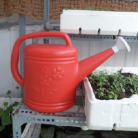 Bình tưới hoa sen